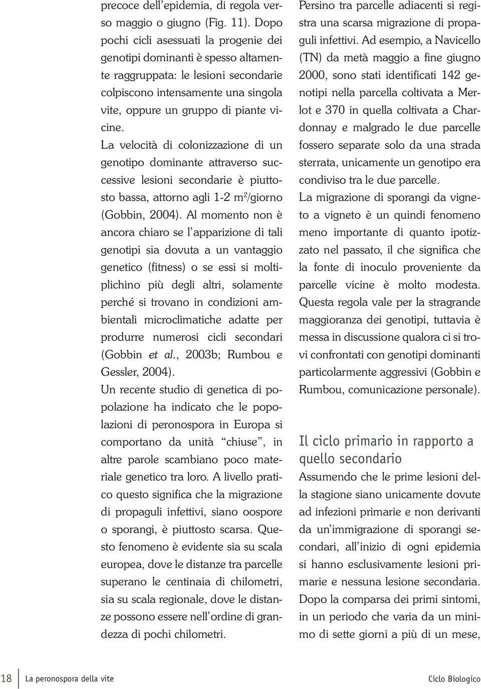 La velocità di colonizzazione di un genotipo dominante attraverso successive lesioni secondarie è piuttosto bassa, attorno agli 1-2 m 2 /giorno (Gobbin, 2004).