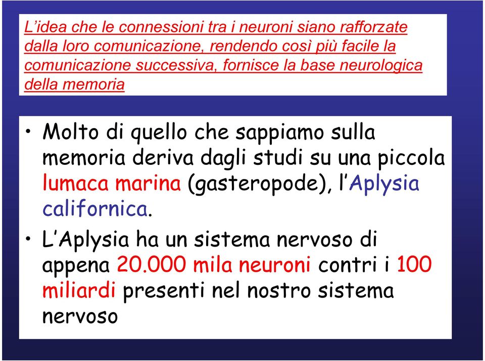 sappiamo sulla memoria deriva dagli studi su una piccola lumaca marina (gasteropode), l Aplysia