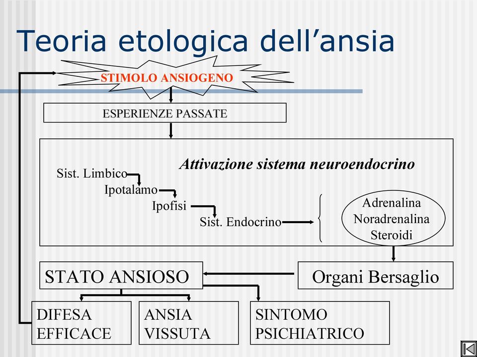 neuroendocrino Sist.