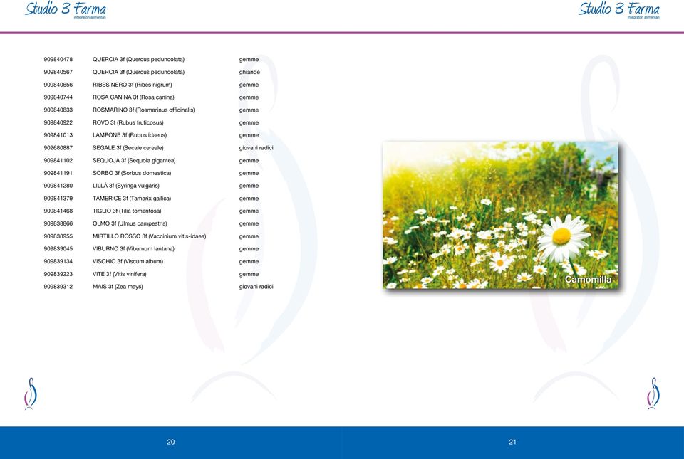 3f (Sequoia gigantea) gemme 909841191 SORBO 3f (Sorbus domestica) gemme 909841280 LILLÀ 3f (Syringa vulgaris) gemme 909841379 TAMERICE 3f (Tamarix gallica) gemme 909841468 TIGLIO 3f (Tilia tomentosa)