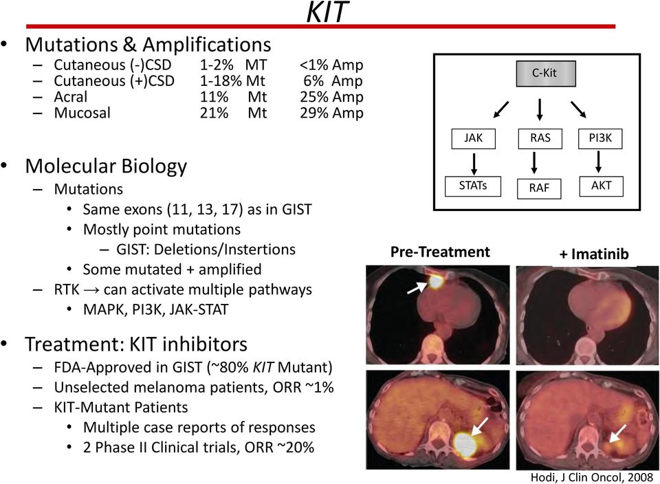 multiple pathways MAPK, PI3K, JAK-STAT KIT Treatment: KIT inhibitors FDA-Approved in GIST (~80% KIT Mutant) Unselected melanoma patients, ORR ~1%