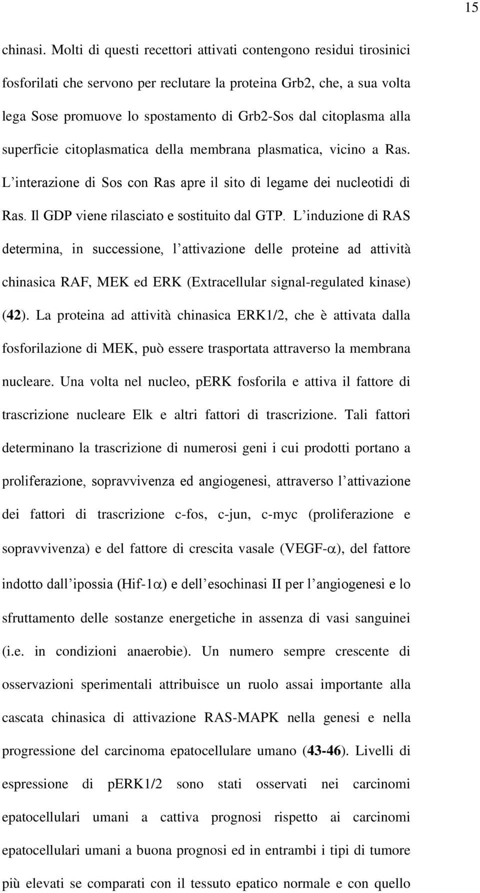 alla superficie citoplasmatica della membrana plasmatica, vicino a Ras. L interazione di Sos con Ras apre il sito di legame dei nucleotidi di Ras. Il GDP viene rilasciato e sostituito dal GTP.