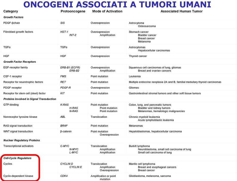 Growth Factor Receptors EGF-receptor family ERB-B1 (ECFR) ERB-B2 Overexpression Amplification Squamous cell carcinomas of lung, gliomas Breast and ovarian cancers CSF-1 receptor FMS Point mutation