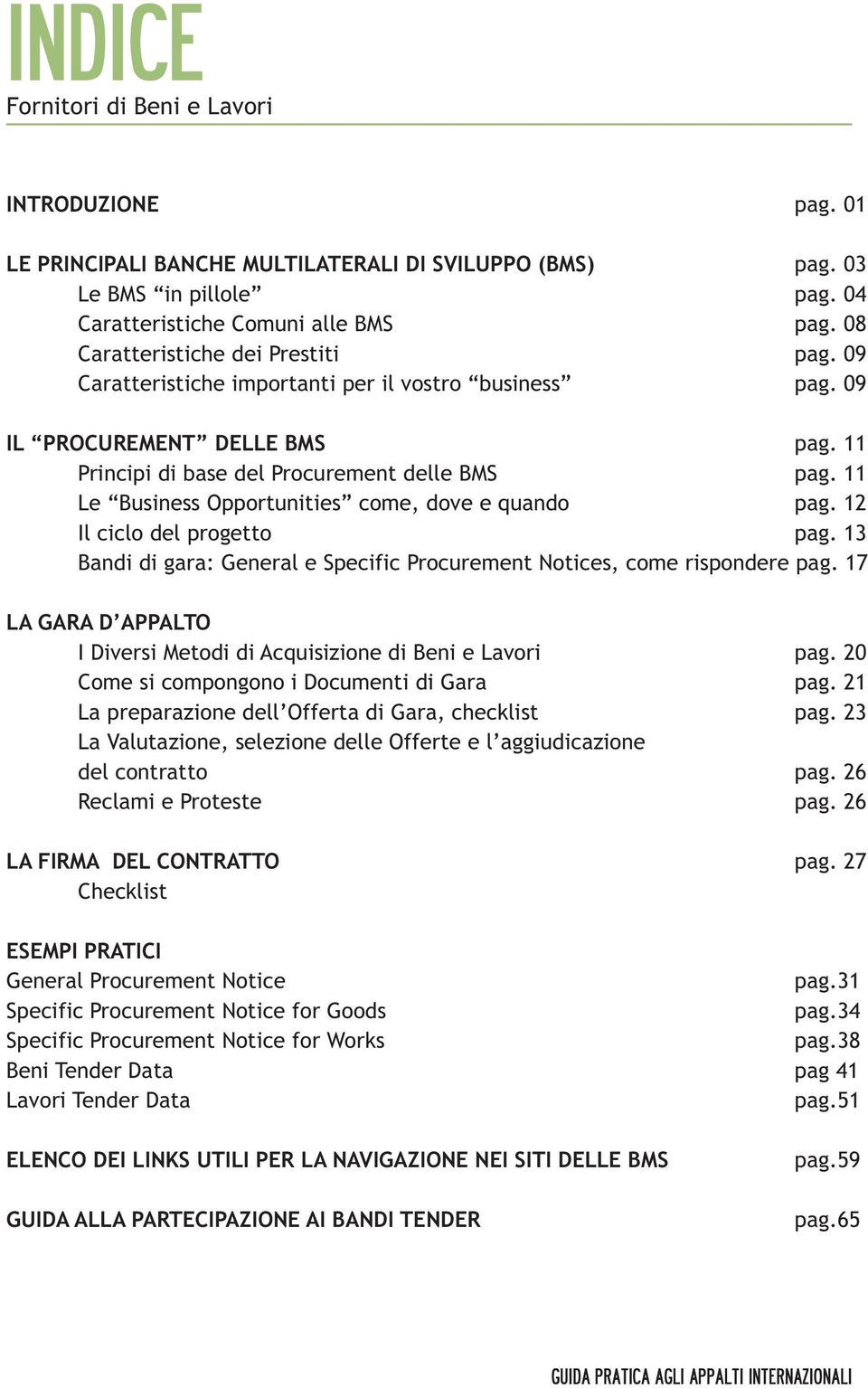 11 Le Business Opportunities come, dove e quando pag. 12 Il ciclo del progetto pag. 13 Bandi di gara: General e Specific Procurement Notices, come rispondere pag.