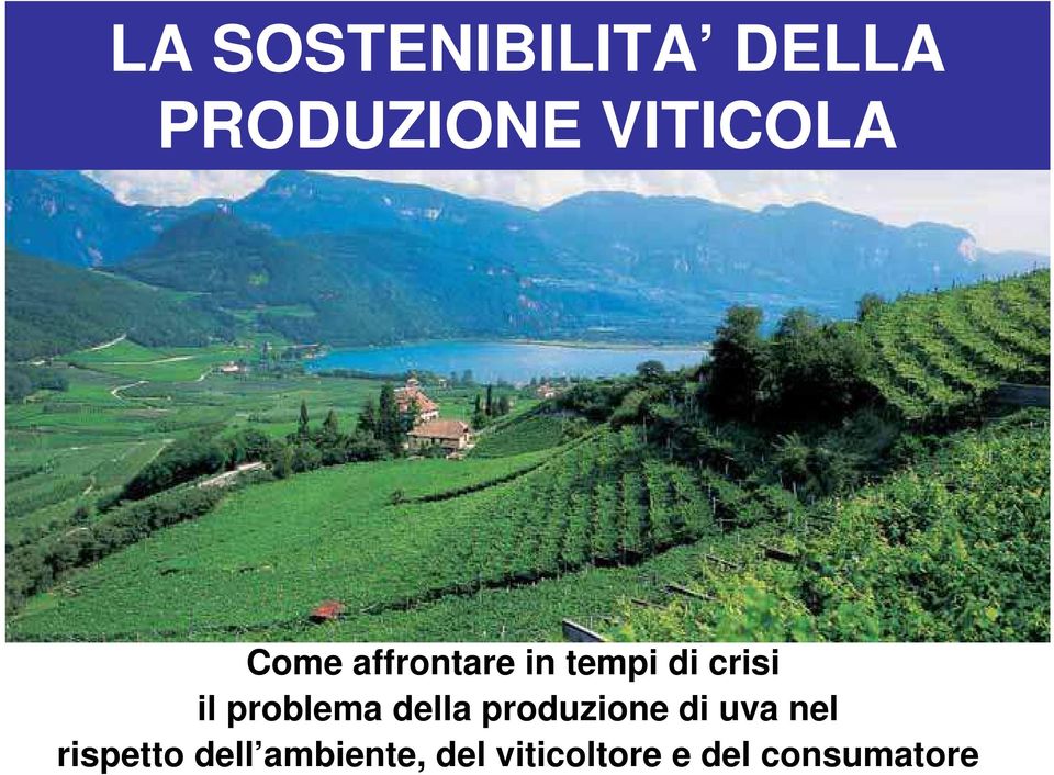 problema della produzione di uva nel