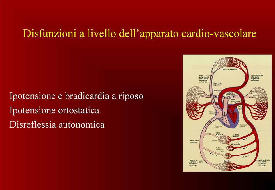 Ipotensione e bradicardia a