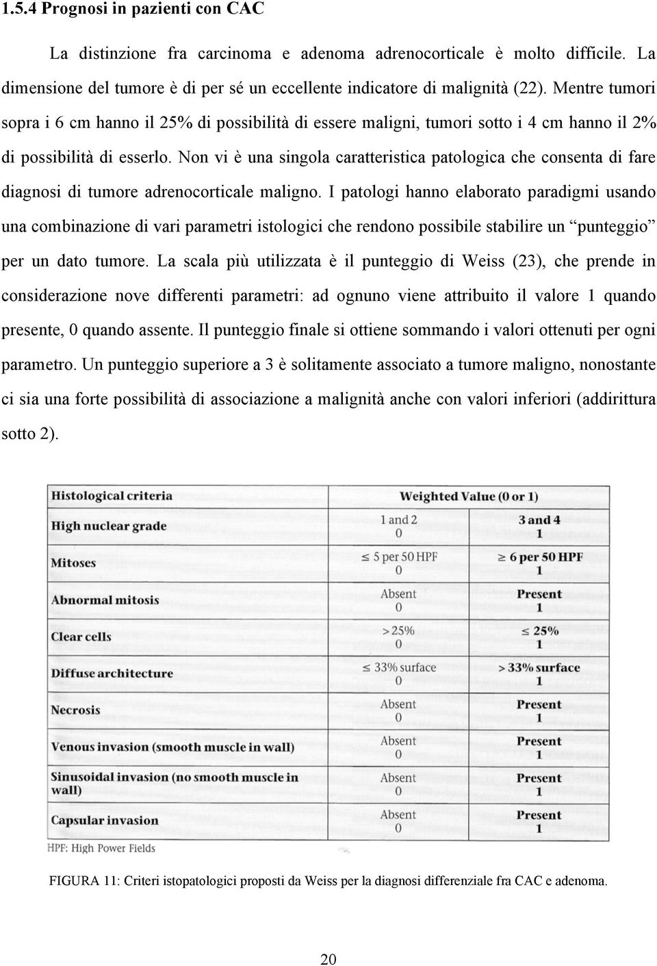 Non vi è una singola caratteristica patologica che consenta di fare diagnosi di tumore adrenocorticale maligno.