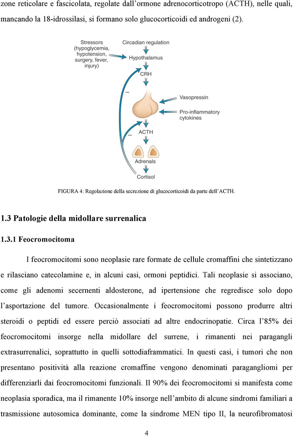 Patologie della midollare surrenalica 1.3.