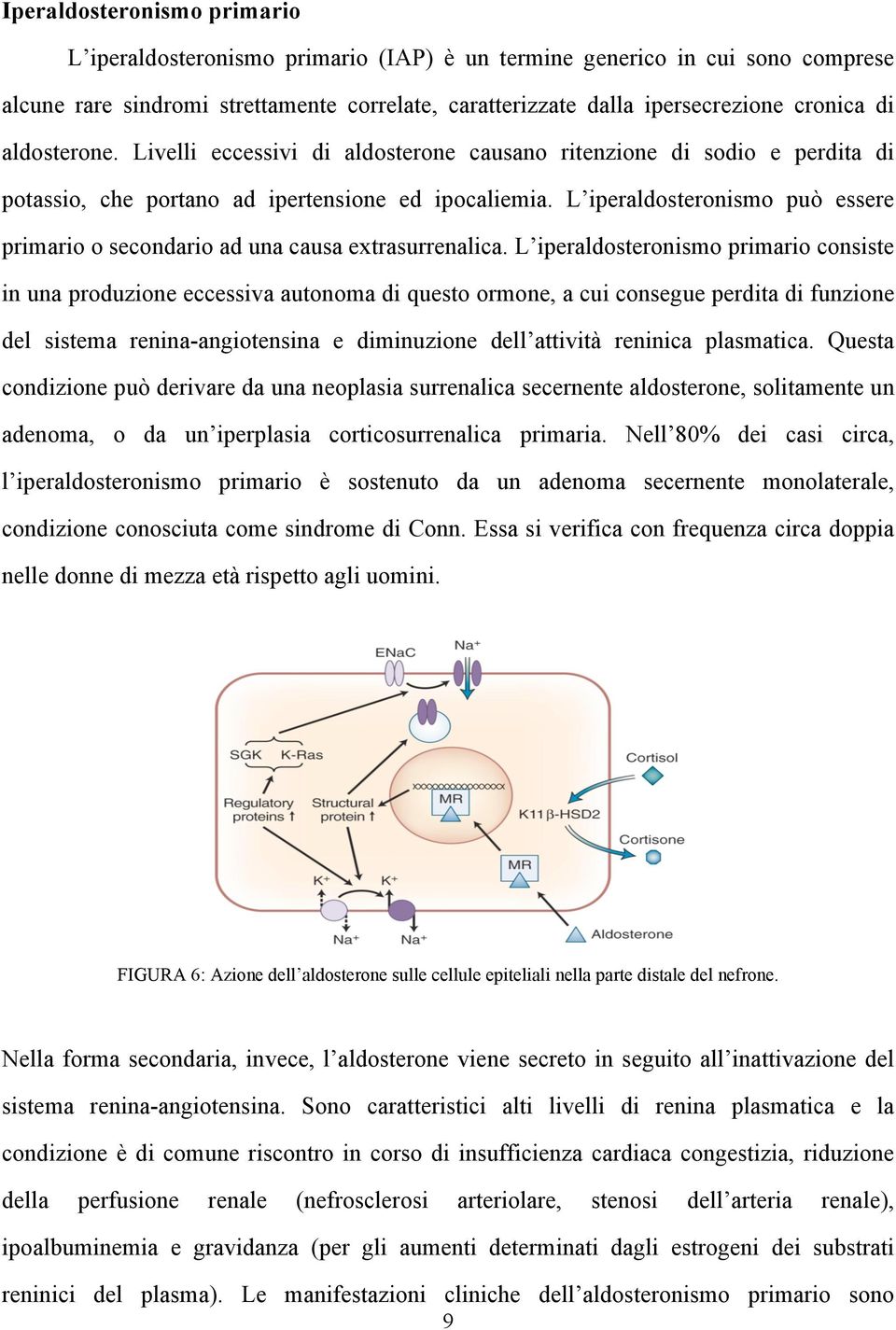 L iperaldosteronismo può essere primario o secondario ad una causa extrasurrenalica.