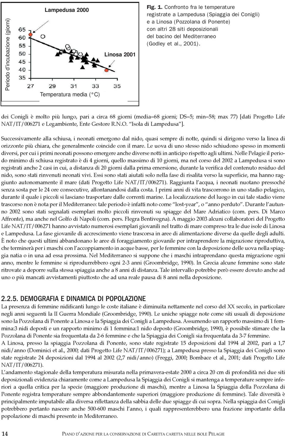 dei Conigli è molto più lungo, pari a circa 68 giorni (media=68 giorni; DS=5; min=58; max 77) [dati Progetto Life NAT/IT/006271 e Legambiente, Ente Gestore R.N.O. Isola di Lampedusa ].