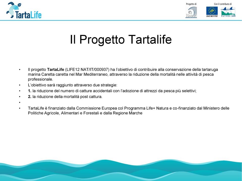 la riduzione del numero di catture accidentali con l adozione di attrezzi da pesca più selettivi; 2. la riduzione della mortalità post cattura.