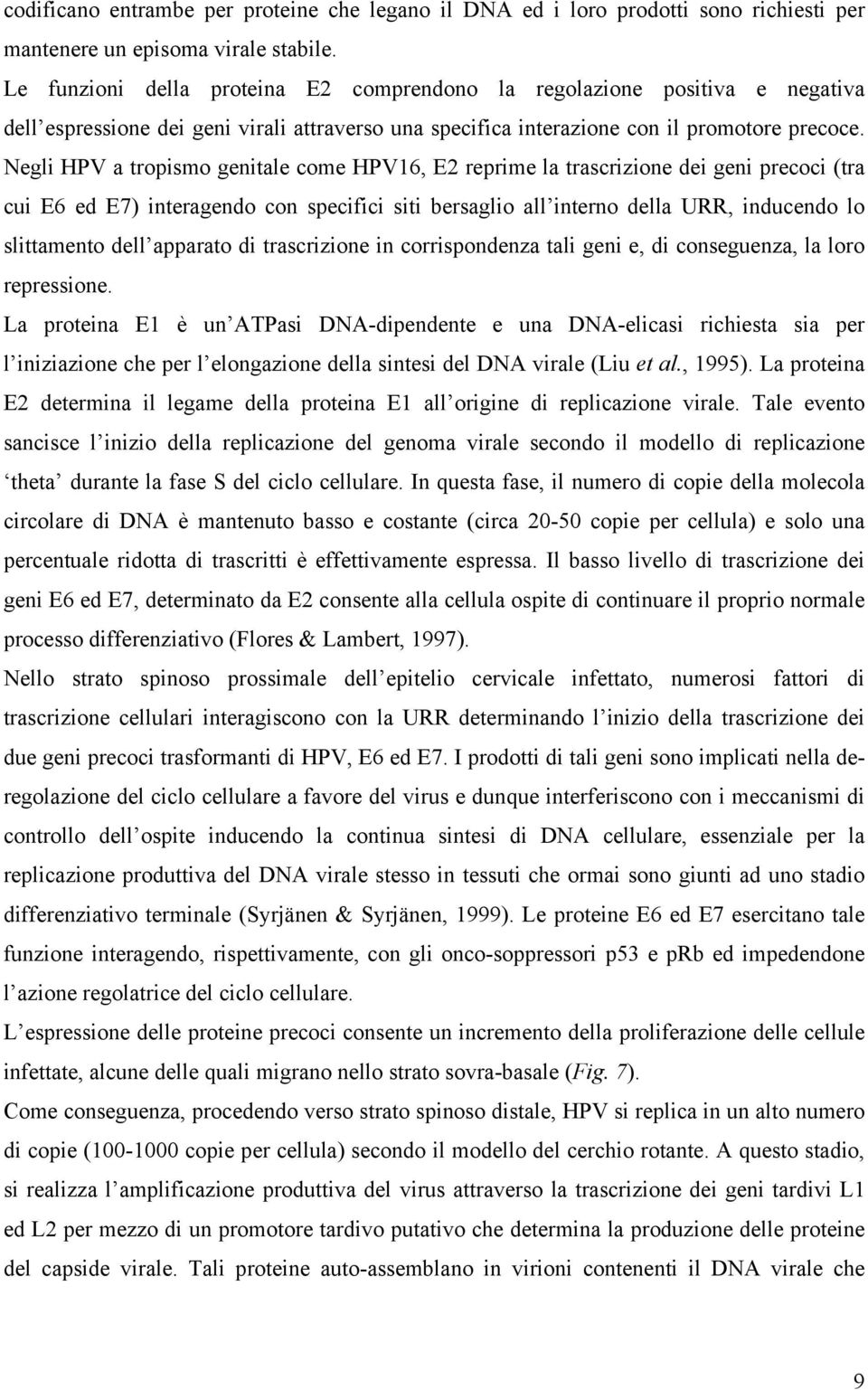 Negli HPV a tropismo genitale come HPV16, E2 reprime la trascrizione dei geni precoci (tra cui E6 ed E7) interagendo con specifici siti bersaglio all interno della URR, inducendo lo slittamento dell