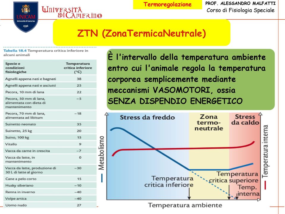 la temperatura corporea semplicemente mediante