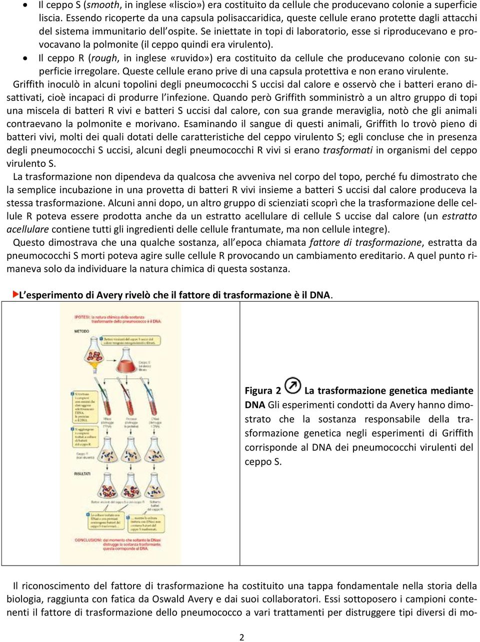 Se iniettate in topi di laboratorio, esse si riproducevano e provocavano la polmonite (il ceppo quindi era virulento).