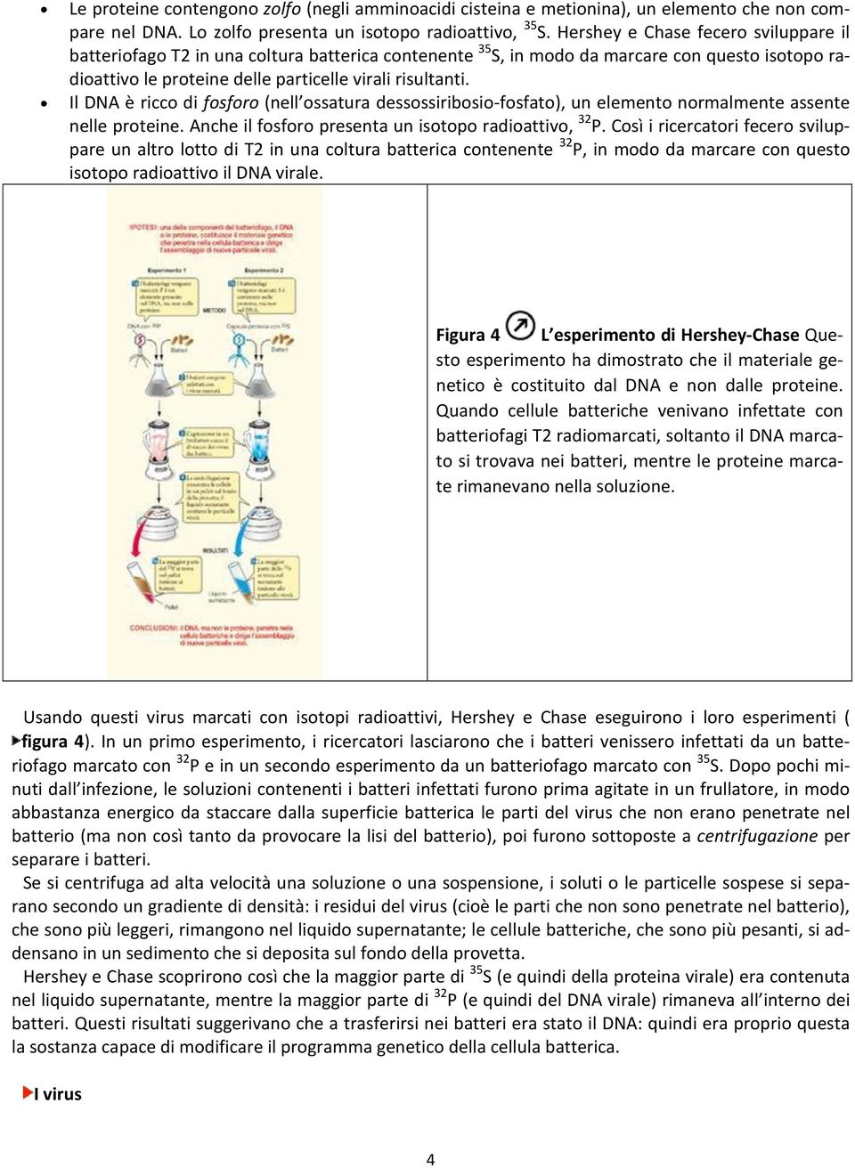 Il DNA è ricco di fosforo (nell ossatura dessossiribosio-fosfato), un elemento normalmente assente nelle proteine. Anche il fosforo presenta un isotopo radioattivo, 32 P.