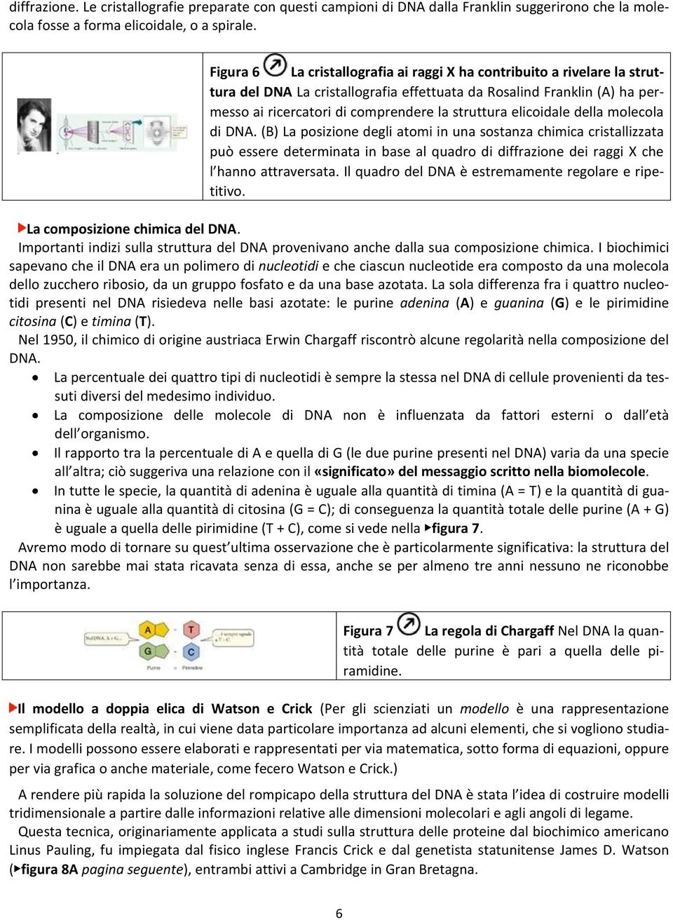 elicoidale della molecola di DNA. (B) La posizione degli atomi in una sostanza chimica cristallizzata può essere determinata in base al quadro di diffrazione dei raggi X che l hanno attraversata.