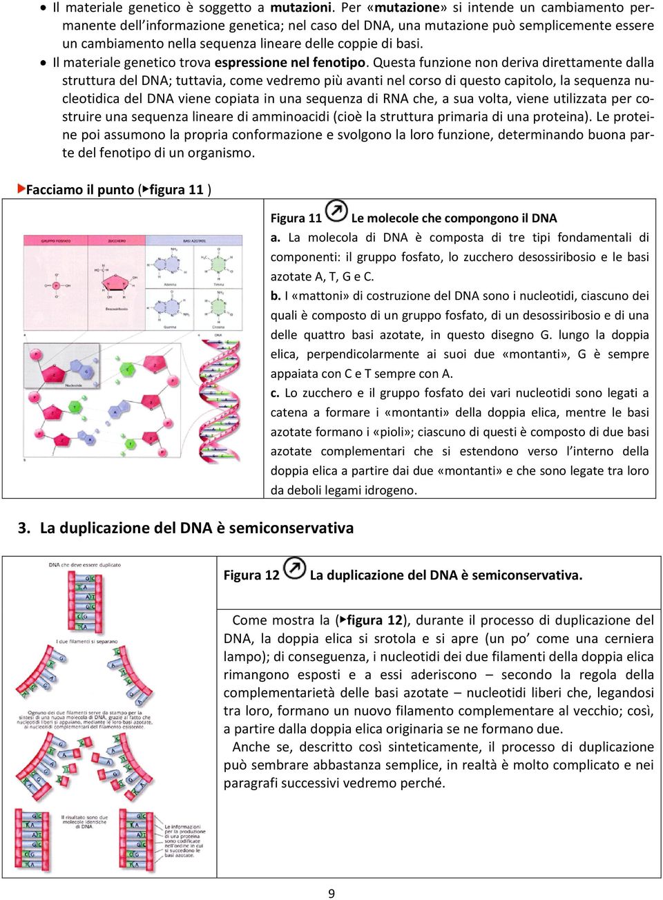 Il materiale genetico trova espressione nel fenotipo.