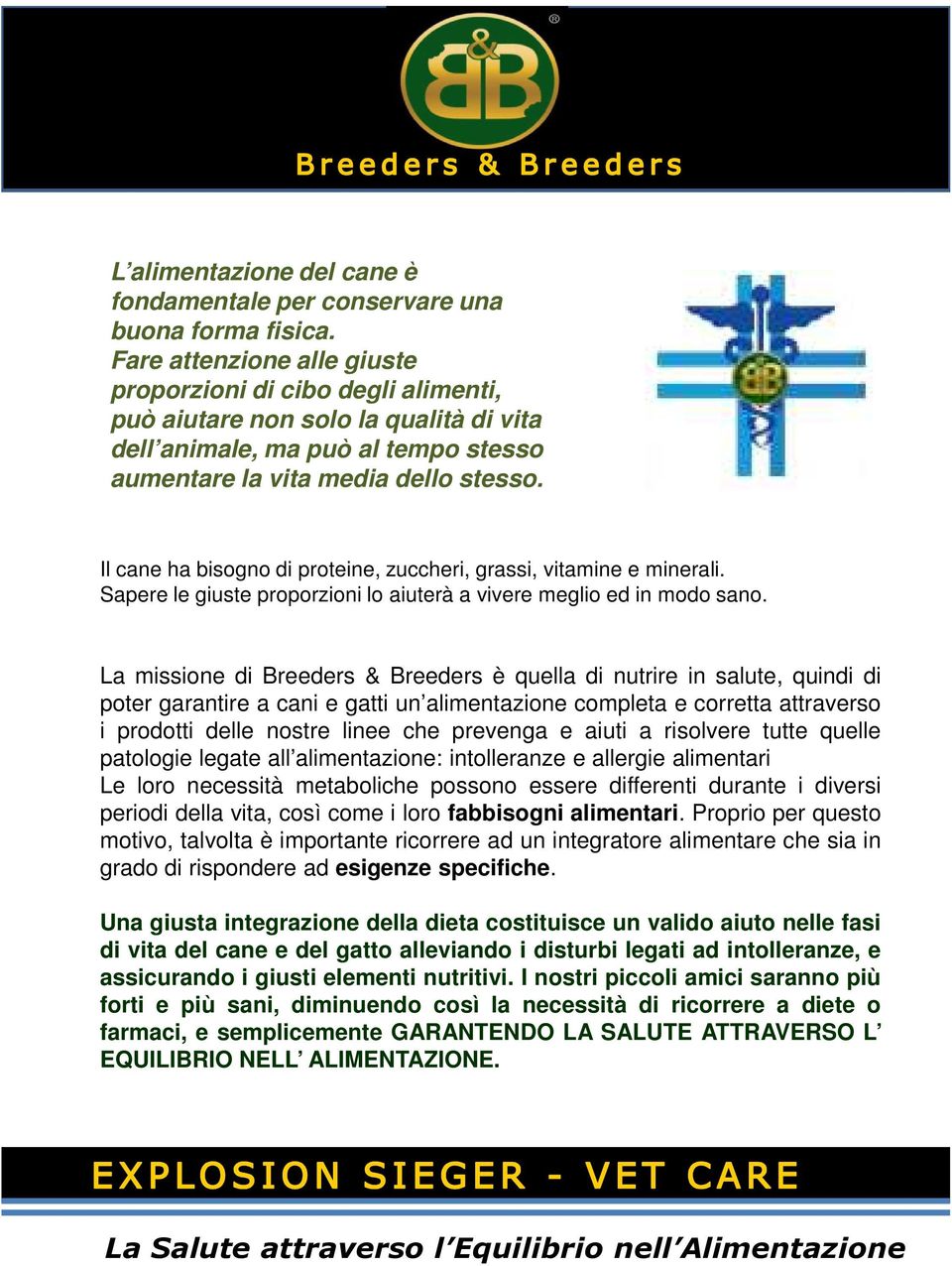 Il cane ha bisogno di proteine, zuccheri, grassi, vitamine e minerali. Sapere le giuste proporzioni lo aiuterà a vivere meglio ed in modo sano.