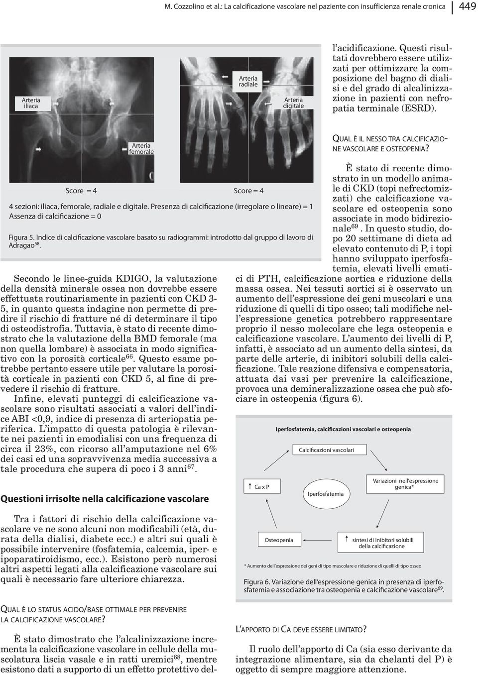 Arteria femorale QuAL è IL nesso TRA CALCIFICAzIOnE VASCOLARE E OSTEOPEnIA? Score = 4 Score = 4 4 sezioni: iliaca, femorale, radiale e digitale.