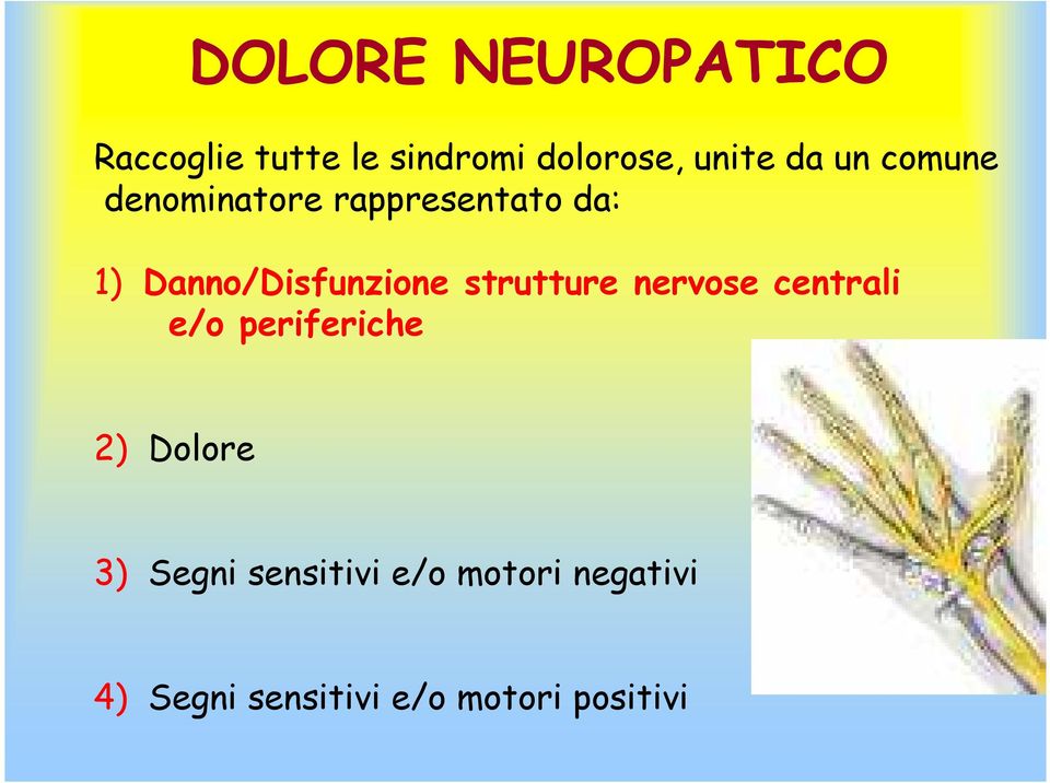 strutture nervose centrali e/o periferiche 2) Dolore 3) Segni