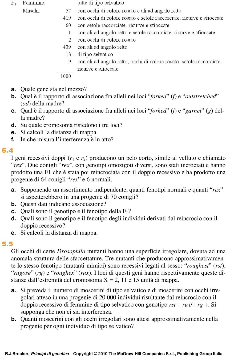 5.4 I geni recessivi doppi (r 1 e r 2 ) producono un pelo corto, simile al velluto e chiamato rex.