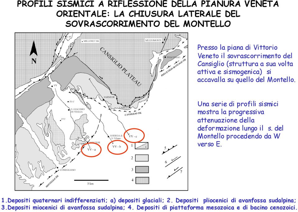 Una serie di profili sismici mostra la progressiva attenuazione della deformazione lungo il s. del Montello procedendo da W verso E. 1.