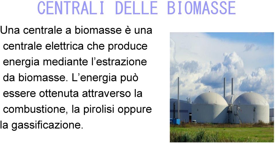 estrazione da biomasse.