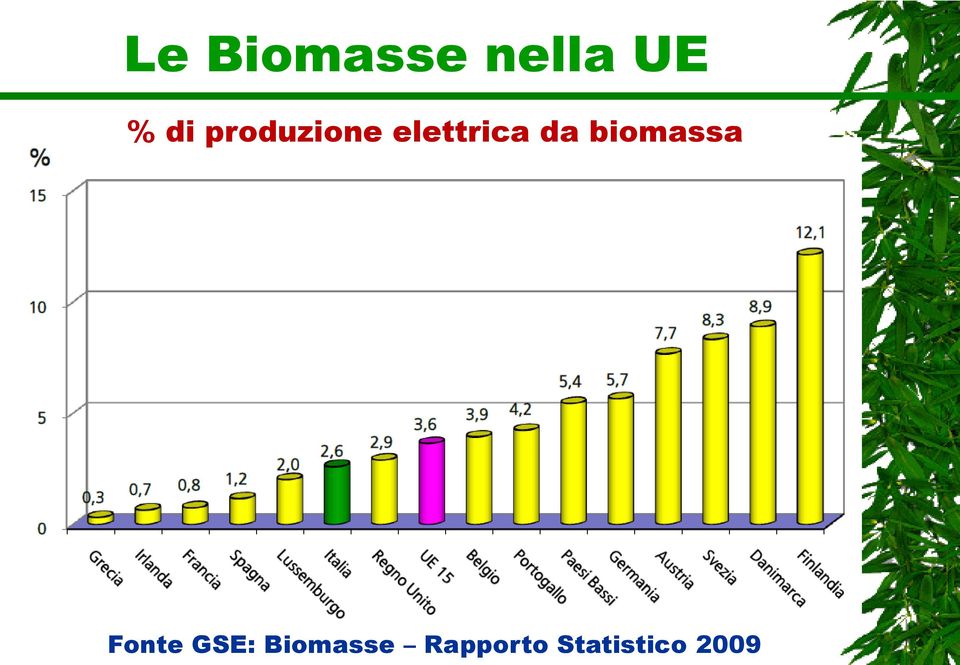 biomassa Fonte GSE: