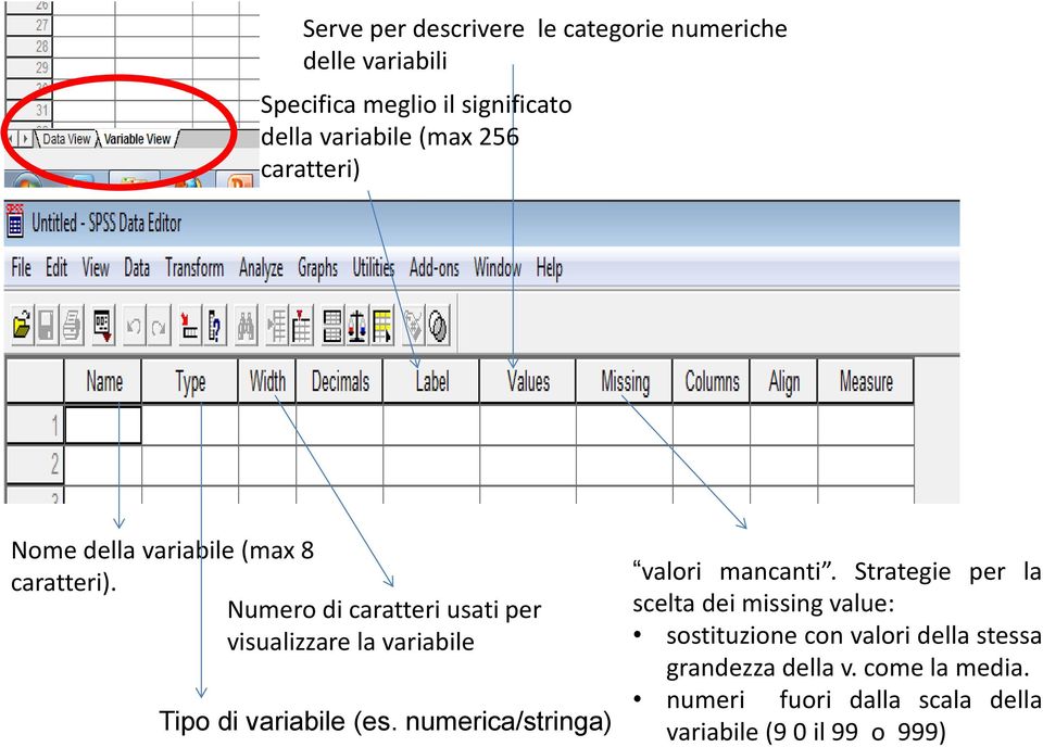 Numero di caratteri usati per visualizzare la variabile Tipo di variabile (es. numerica/stringa) valori mancanti.