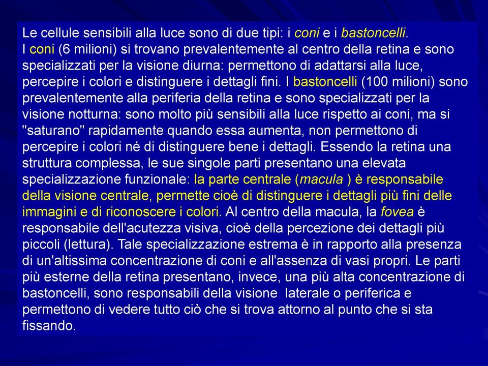 I bastoncelli (100 milioni) sono prevalentemente alla periferia della retina e sono specializzati per la visione notturna: sono molto più sensibili alla luce rispetto ai coni, ma si "saturano"