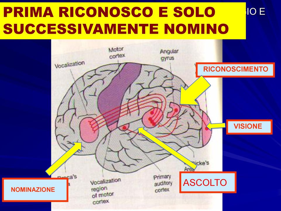 RICONOSCIMENTO VISIVO SUCCESSIVAMENTE