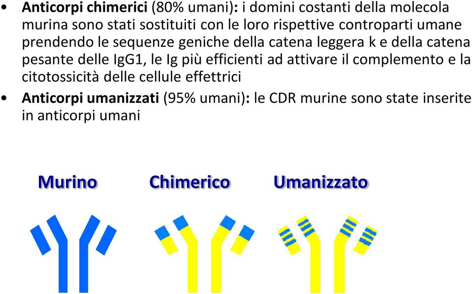 delle IgG1, le Ig più efficienti ad attivare il complemento e la citotossicità delle cellule effettrici