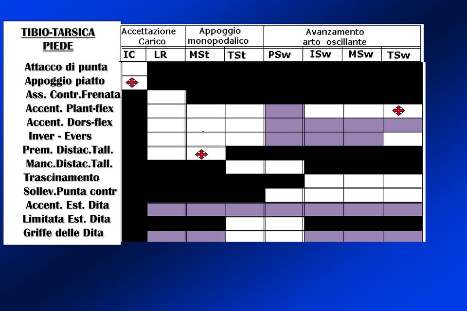 Dors-flex Inver - Evers Prem. Distac.Tall.