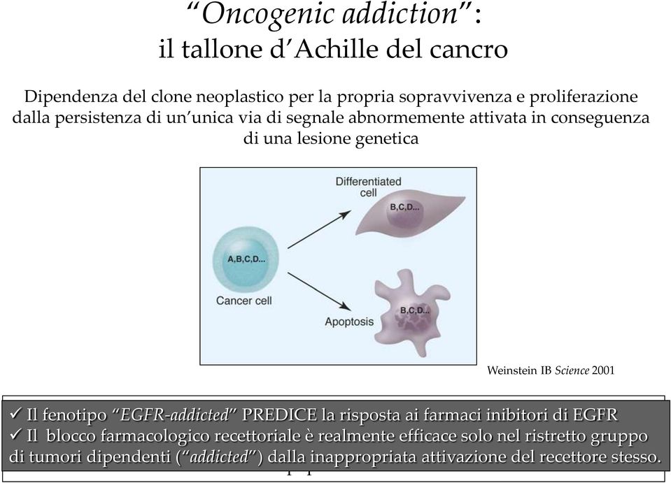 ai farmaci portatrici inibitori delle stesse di EGFR lesioni genetiche Il blocco(mutazioni) farmacologico di EGFR recettoriale ritrovate è realmente in vivo in efficace tumori umani, solo