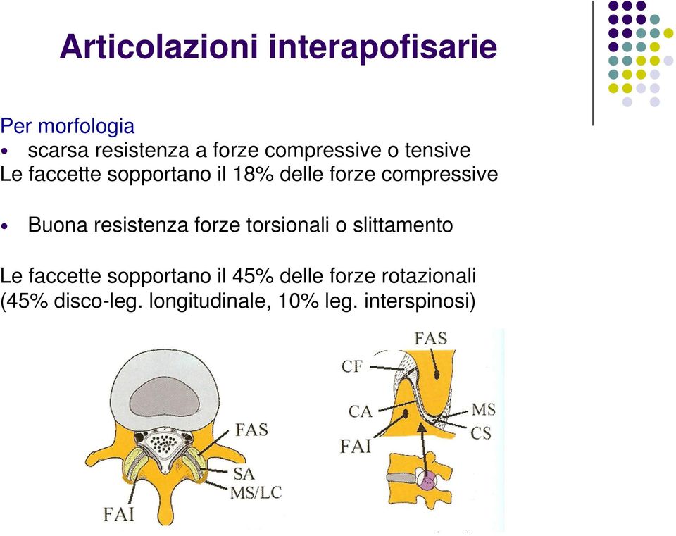 Buona resistenza forze torsionali o slittamento Le faccette sopportano il