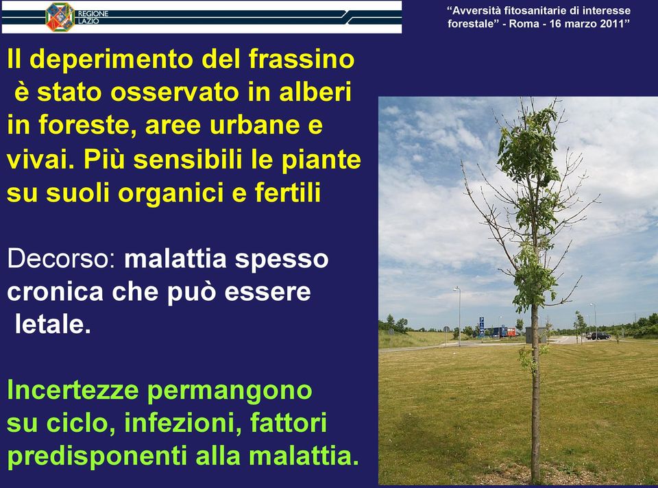 Più sensibili le piante su suoli organici e fertili Decorso: