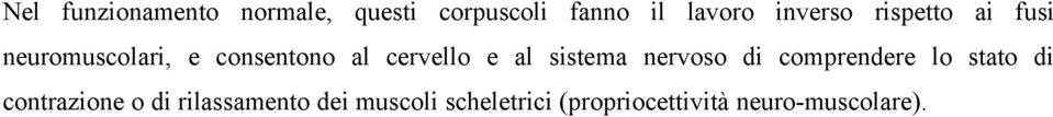 e al sistema nervoso di comprendere lo stato di contrazione o di