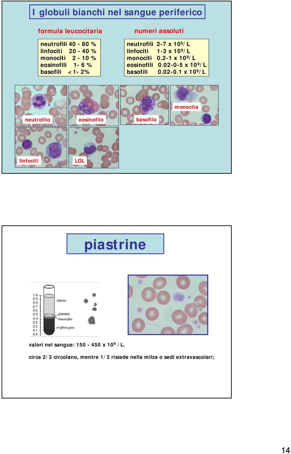 2-1 x 10 9 /L eosinofili 0.02-0-