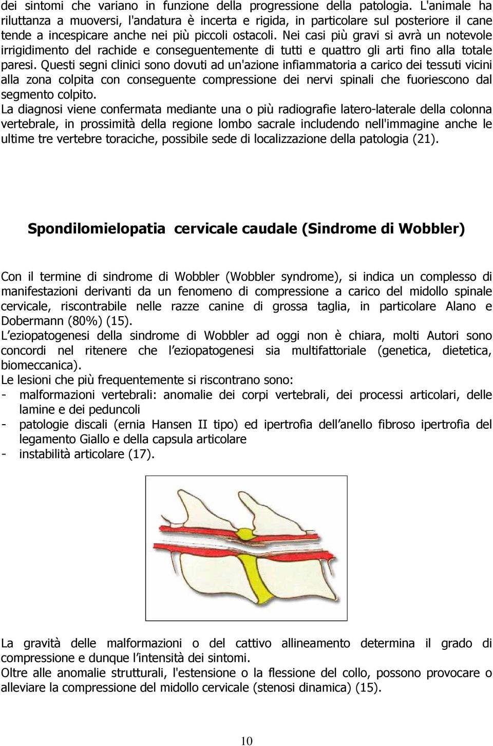 Nei casi più gravi si avrà un notevole irrigidimento del rachide e conseguentemente di tutti e quattro gli arti fino alla totale paresi.