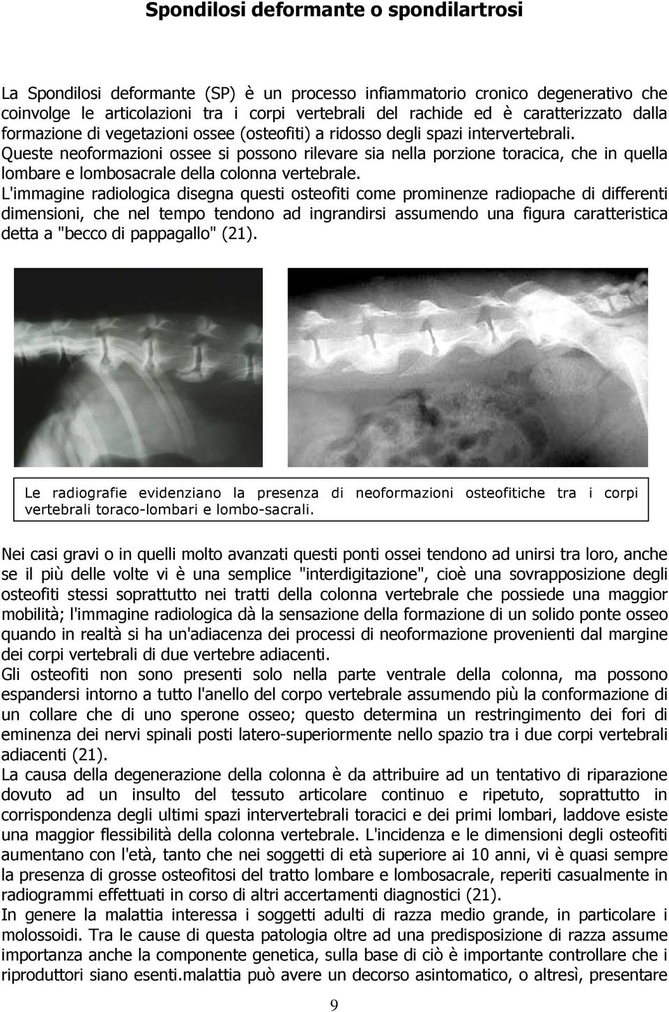 Queste neoformazioni ossee si possono rilevare sia nella porzione toracica, che in quella lombare e lombosacrale della colonna vertebrale.