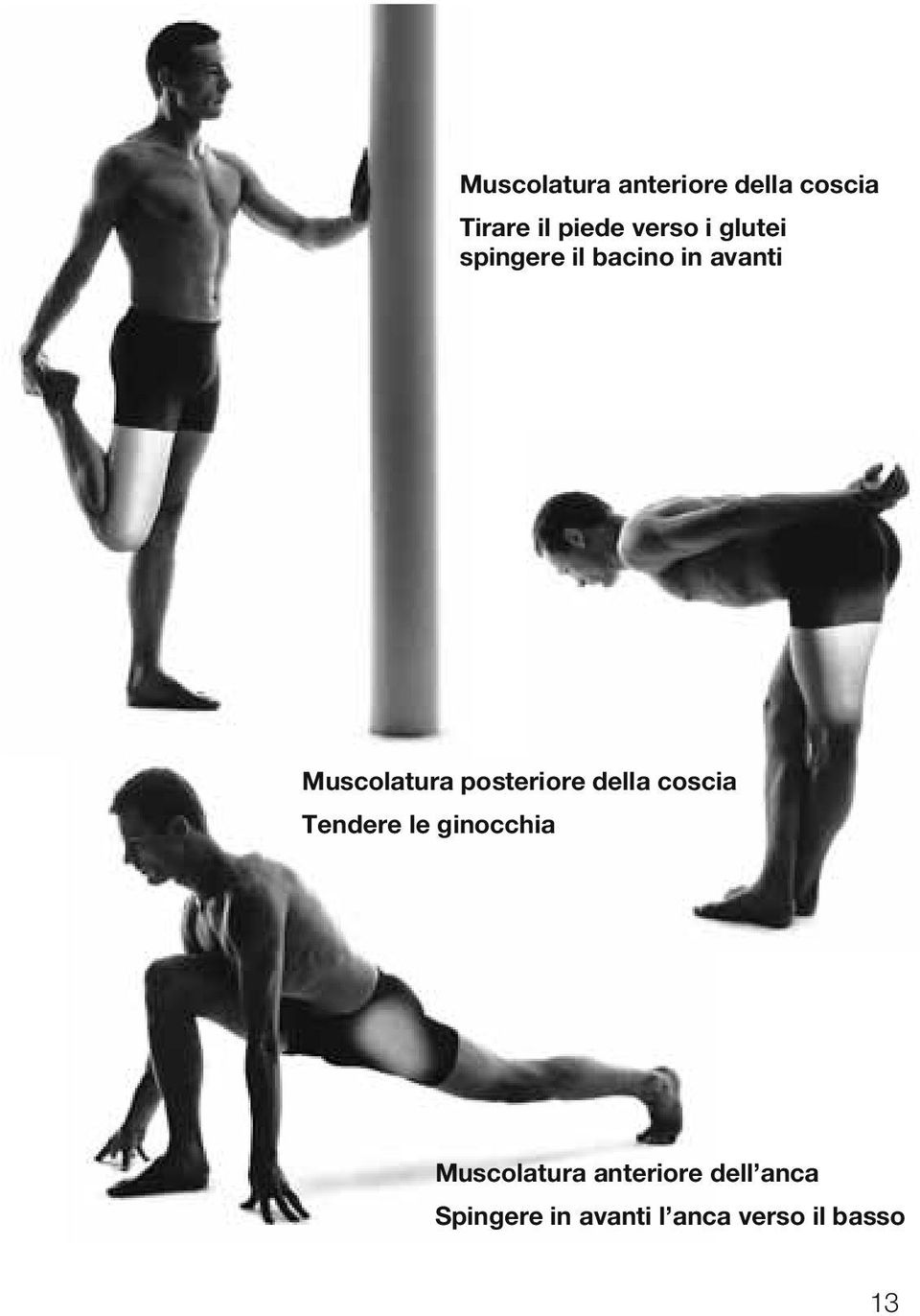 posteriore della coscia Tendere le ginocchia Muscolatura