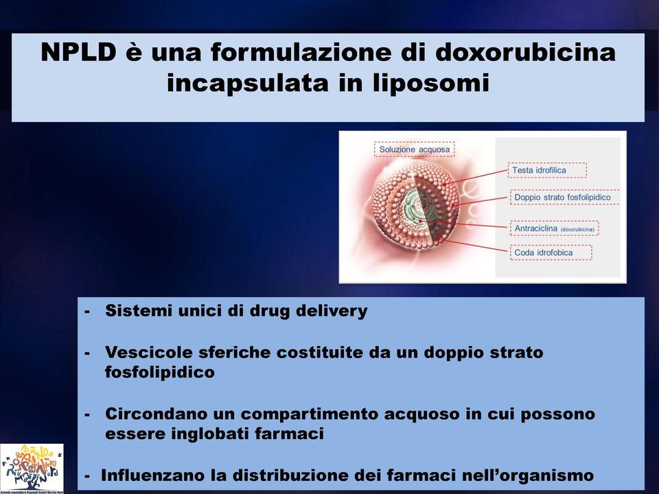 fosfolipidico - Circondano un compartimento acquoso in cui possono essere