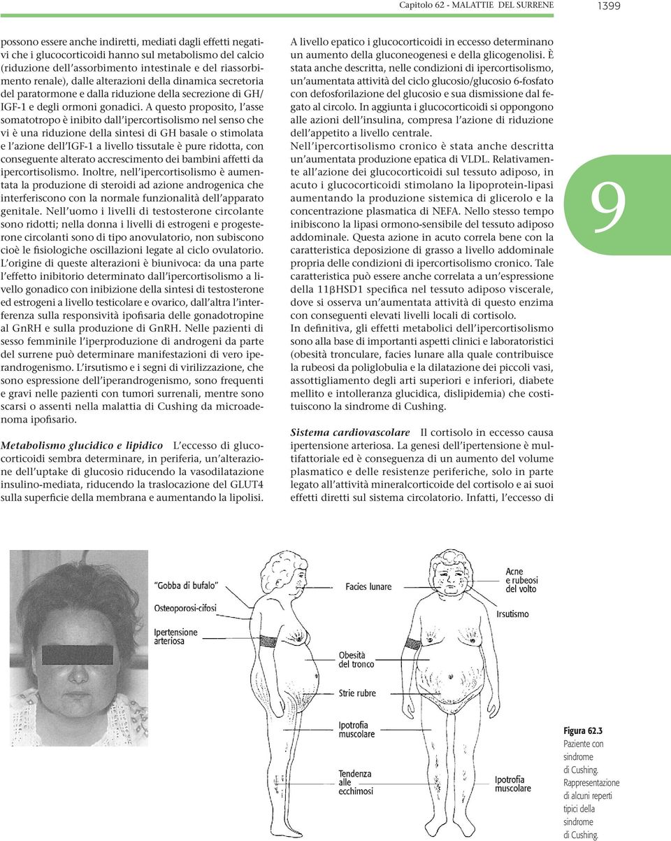 A questo proposito, l asse somatotropo è inibito dall ipercortisolismo nel senso che vi è una riduzione della sintesi di GH basale o stimolata e l azione dell IGF-1 a livello tissutale è pure