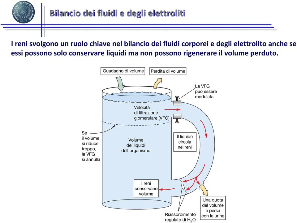 corporei e degli elettrolito anche se essi possono