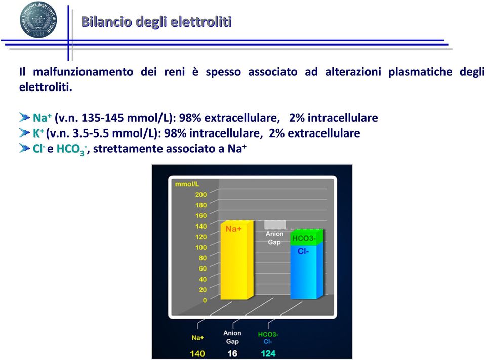 plasmatiche degli elettroliti. Na + (v.n.