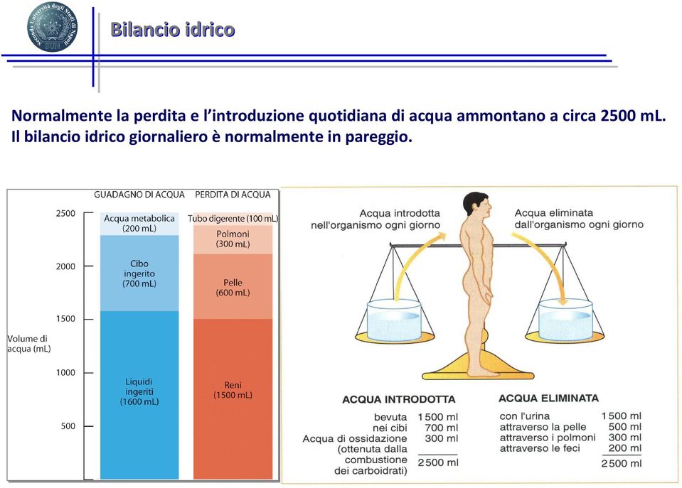 ammontano a circa 2500 ml.