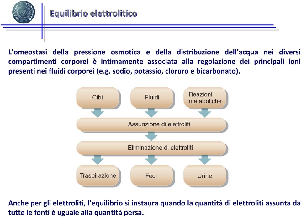 nei fluidi corporei (e.g. sodio, potassio, cloruro e bicarbonato).