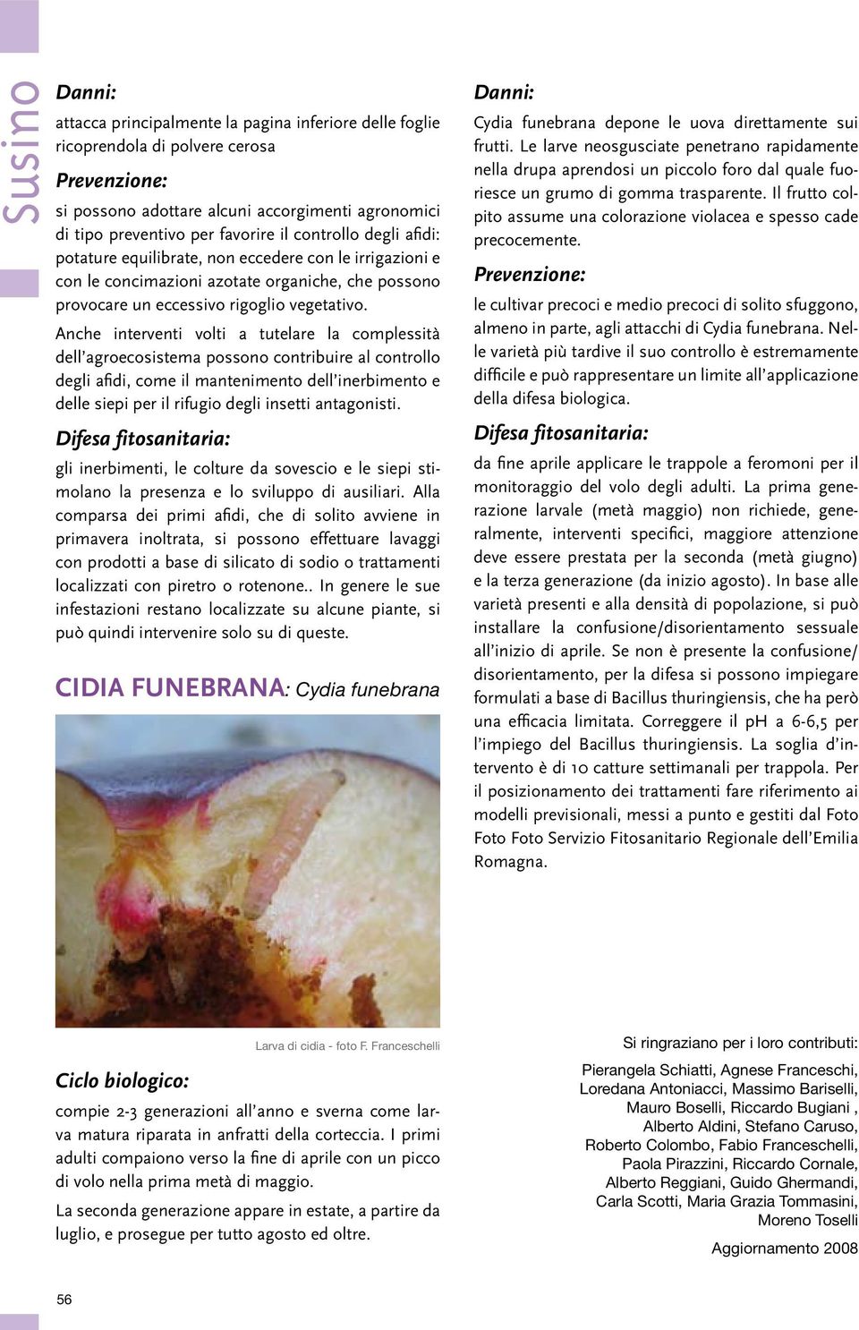 Anche interventi volti a tutelare la complessità dell agroecosistema possono contribuire al controllo degli afidi, come il mantenimento dell inerbimento e delle siepi per il rifugio degli insetti