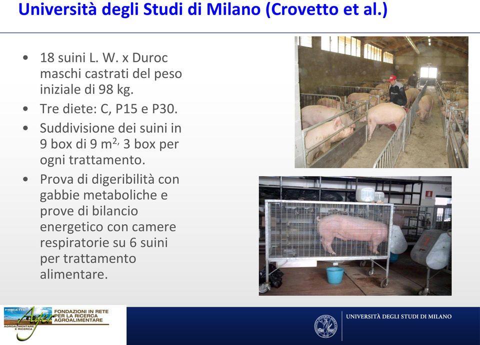 Suddivisione dei suini in 9 box di 9 m 2, 3 box per ogni trattamento.