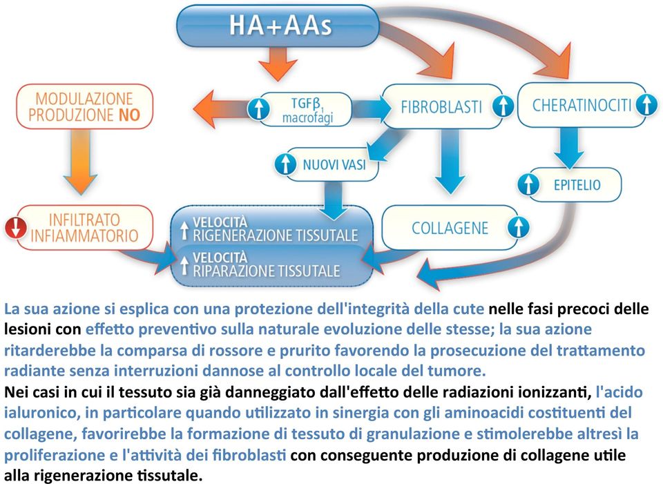 Nei casi in cui il tessuto sia già danneggiato dall'effeko delle radiazioni ionizzanb, l'acido ialuronico, in parbcolare quando ublizzato in sinergia con gli aminoacidi cosbtuenb